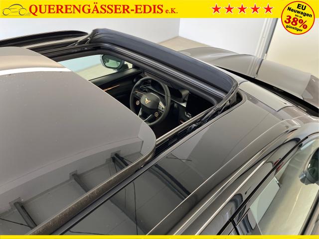 Cupra / Terramar / Schwarz / / / 4Drive Leder+Pano+AKEBONO+Matrix+AHK+Stdhz+20 Zoll