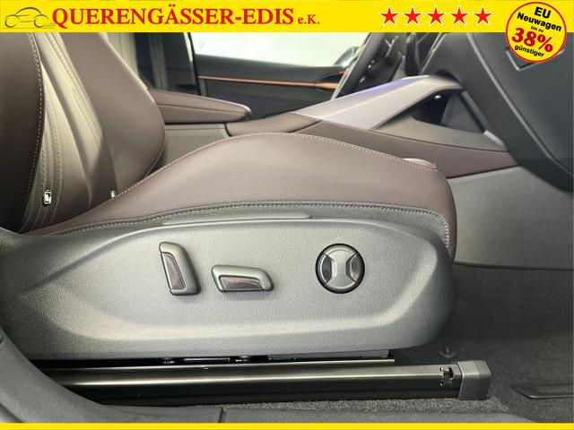 Cupra / Terramar / Grau / / / 4Drive Leder+Pano+AKEBONO+Matrix+AHK+Stdhz+20 Zoll