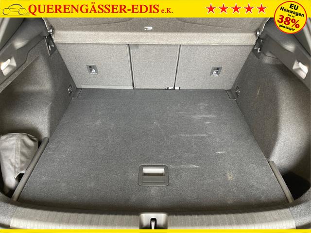 Cupra / Terramar / Grau / / / 4Drive Leder+Pano+AKEBONO+Matrix+AHK+Stdhz+20 Zoll