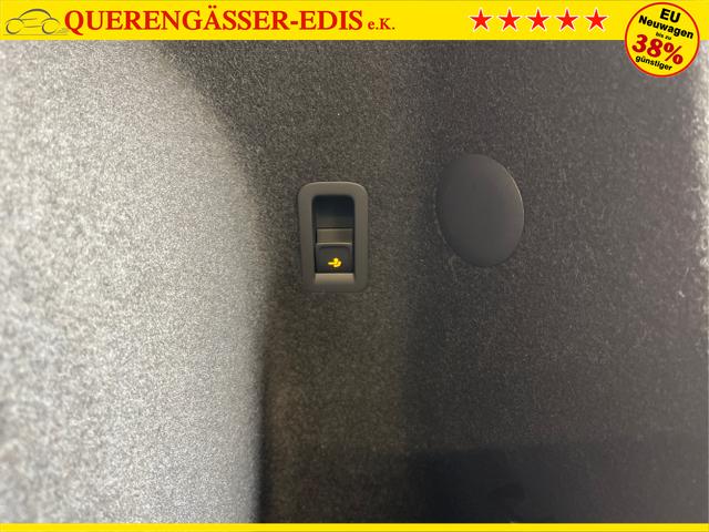 Cupra / Terramar / Grau / / / 4Drive Leder+Pano+AKEBONO+Matrix+AHK+Stdhz+20 Zoll