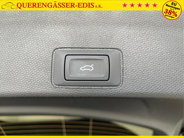 Cupra / Terramar / Grau / / / 4Drive Leder+Pano+AKEBONO+Matrix+AHK+Stdhz+20 Zoll