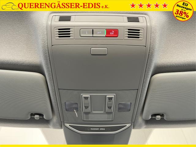 Skoda / Fabia / Blau / / / 115PS App Connect