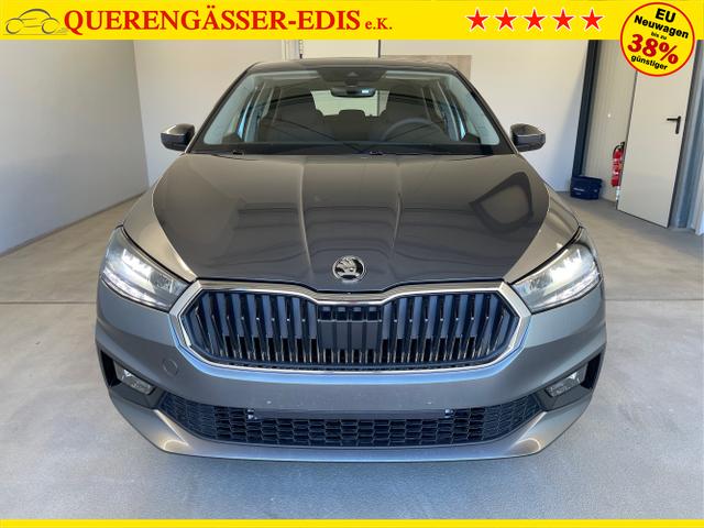 Skoda / Fabia / Grau / / / 115PS App Connect