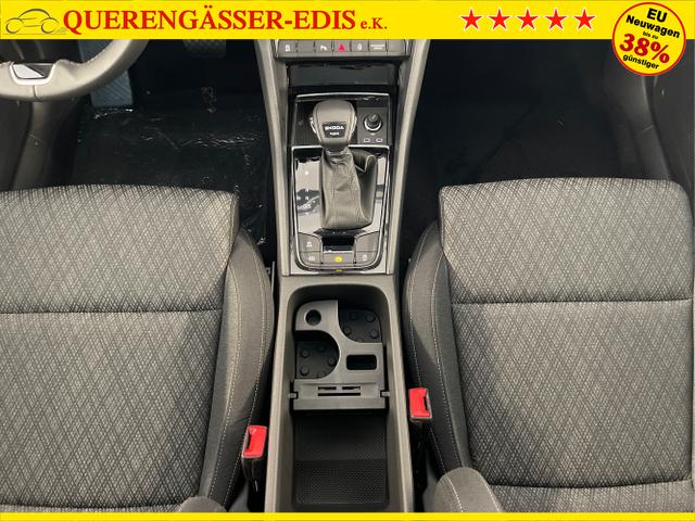 Skoda / Karoq / Grau / / / 150PS TDI DSG 4x4 AHK+Navi+ACC+Kamera+Sitzheiz+eHeck+GV5