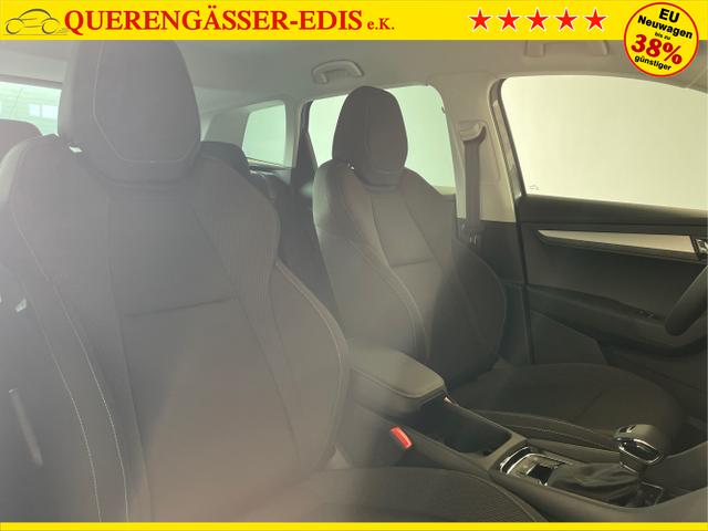 Skoda / Karoq / Grau / / / 150PS DSG AHK+Kamera+ACC+Kessy+Kamera+ParkPilot vo+hi+App