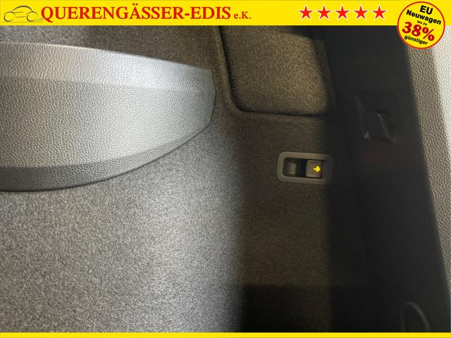 Skoda / Karoq / Blau / / / TDI 4x4 AHK+360°+Alu19+Navi+Matrix+Winter-Paket