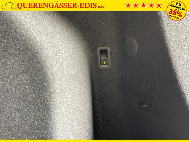 Cupra / Terramar / Violett / / / 265PS DSG 4Drive Sthz+Sennheiser+AHK+Alu20+Matrix+Pano+Navi