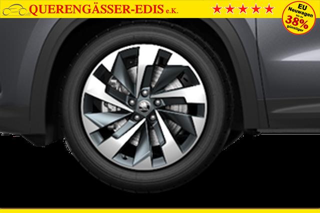 Skoda Kodiaq Selection 2.0 TDI 7-Gang-DSG 4x4 