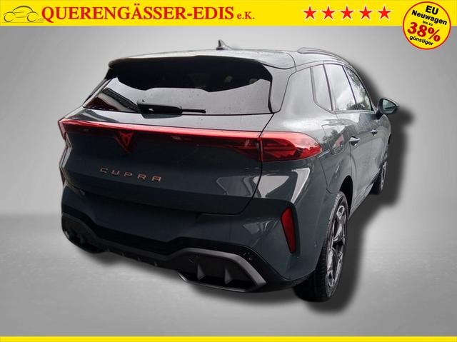 Cupra Terramar VZ 2.0 TSI 7-Gang-DSG 4Drive 