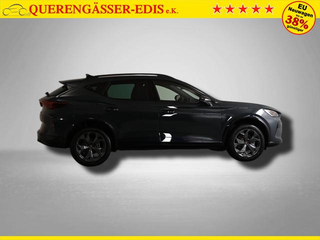 Cupra Formentor 2.0 TSI 7-Gang-DSG 4Drive 