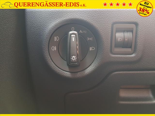 Skoda / Fabia / Grau / / / Fabia Selection 1,0TSI DSG 85KW/116PS ACC, SHZ, 16, Climatonic