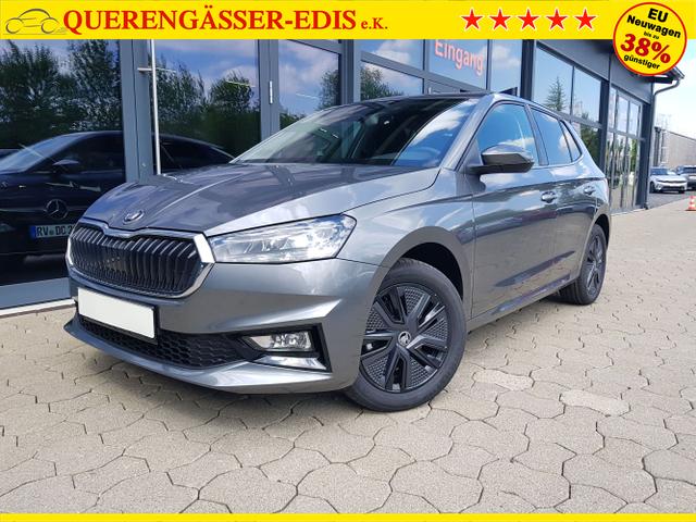 Skoda / Fabia / Grau / / / Fabia Selection 1,0TSI DSG 85KW/116PS ACC, SHZ, 16, Climatonic