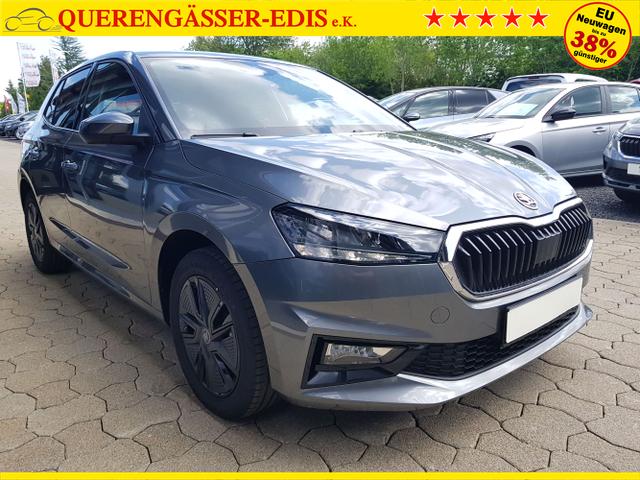 Skoda / Fabia / Grau / / / Fabia Selection 1,0TSI DSG 85KW/116PS ACC, SHZ, 16, Climatonic