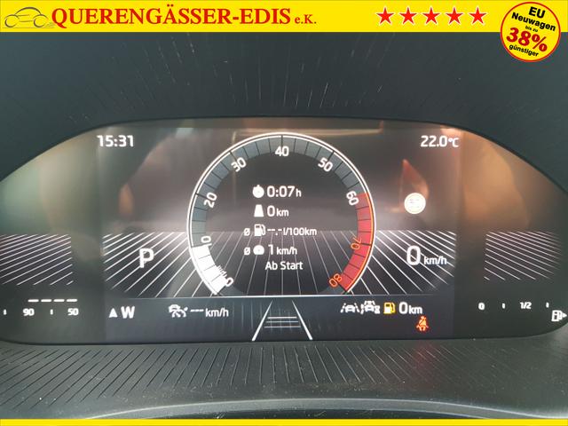 Skoda / Fabia / Grau / / / Fabia Selection 1,0TSI DSG 85KW/116PS ACC, SHZ, 16, Climatonic