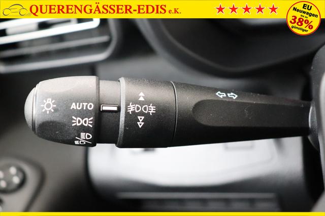 Opel Combo Cargo 1.5 Turbo D 130 hp S/S AT8 