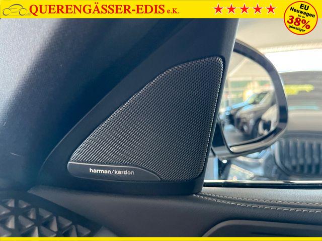 BMW X6 xDrive 40d M SPORT/LED/AHK/PANO-DA/H&K 