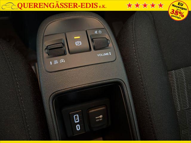 Fiat 500 1.0 ICON Hybrid FireFly 48 kW/16Z/PDC H 