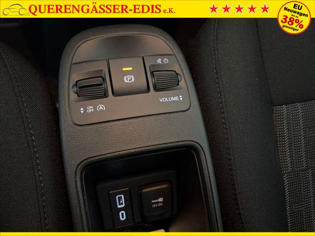 Fiat 500 1.0 ICON Hybrid FireFly 48 kW/16Z/PDC H 