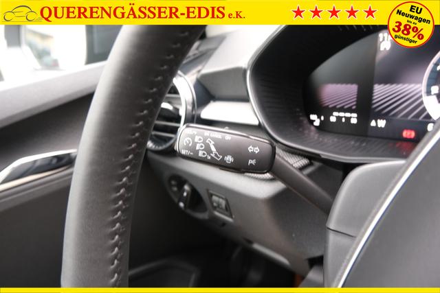 Skoda Fabia Selection Grau 