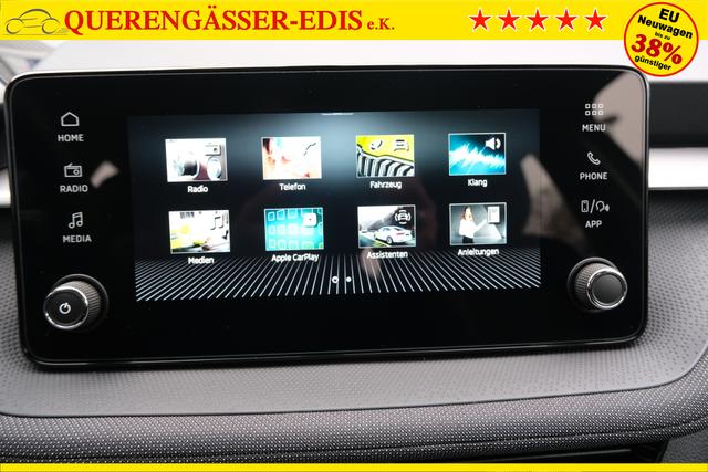 Skoda Fabia Selection Grau 