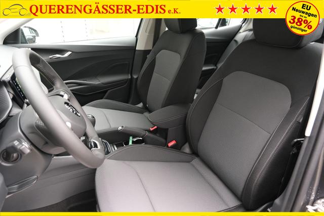 Skoda Fabia Selection Grau 