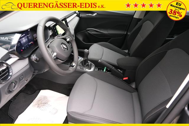 Skoda Fabia Selection Grau 