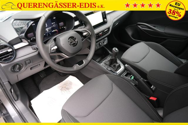Skoda Fabia Selection Grau 