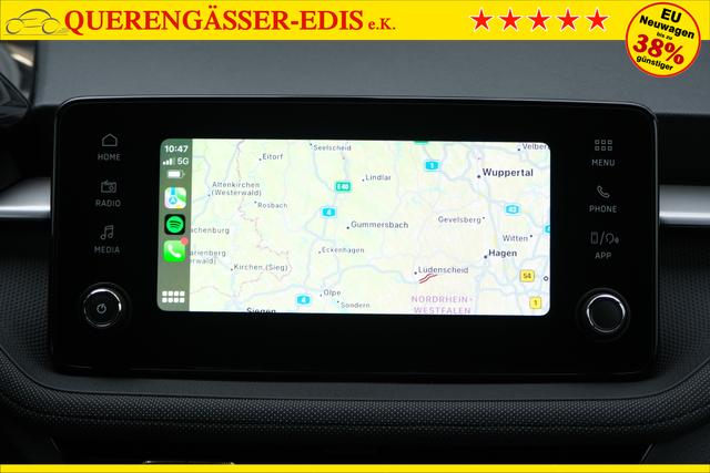 Skoda Fabia Selection Grau 