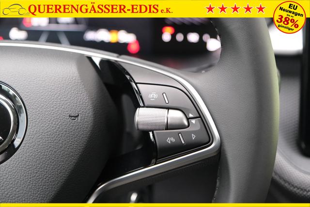 Skoda Fabia Selection Grau 
