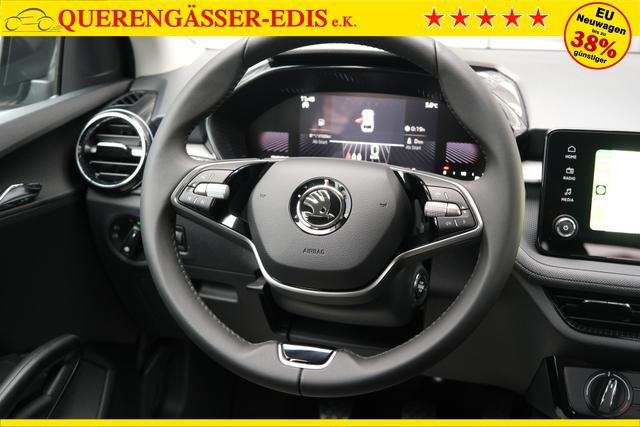 Skoda Fabia Selection Grau 