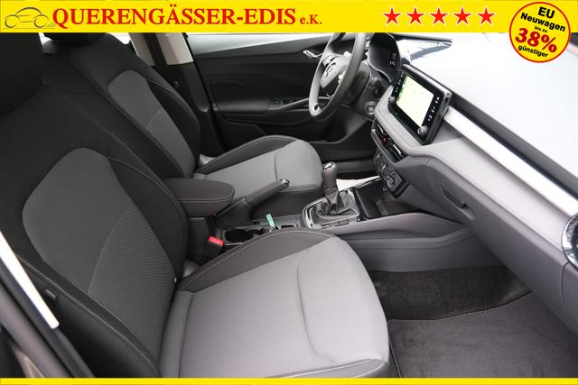 Skoda Fabia Selection Grau 