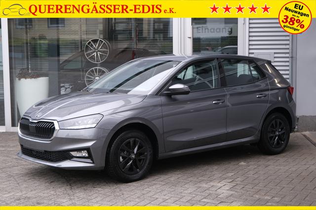 Skoda Fabia Selection Grau 