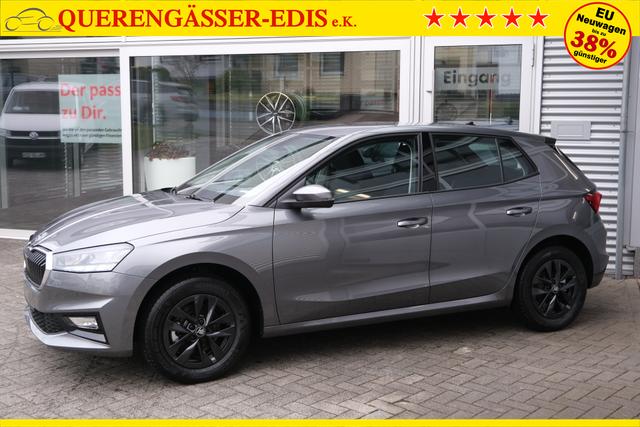 Skoda Fabia Selection Grau 