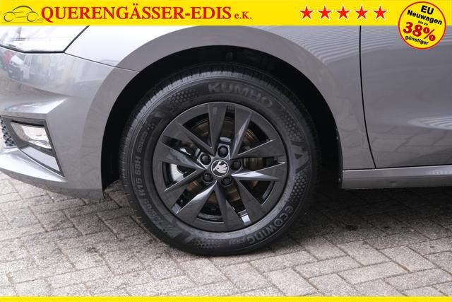 Skoda Fabia Selection Grau 