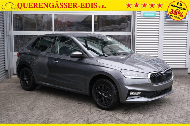 Skoda Fabia Selection Grau 