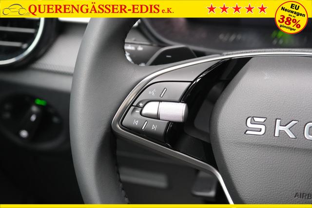 Skoda Fabia Selection 1.0 TSI DSG LED Kamera App-Navi PDC Winterpaket 