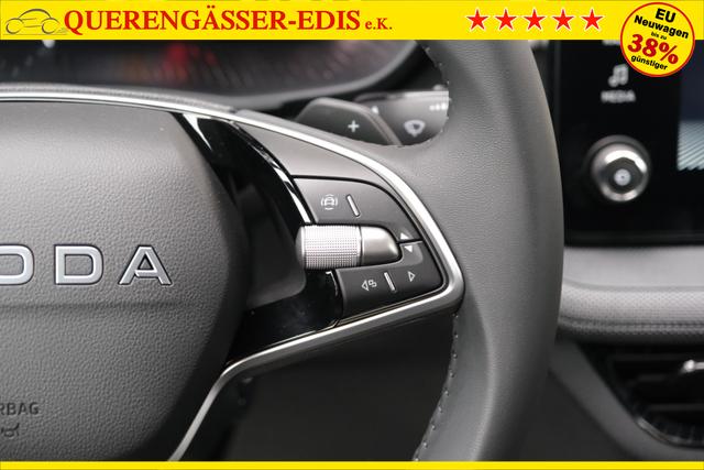 Skoda Fabia Selection 1.0 TSI DSG LED Kamera App-Navi PDC Winterpaket 