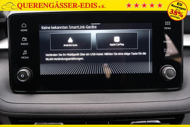 Skoda Fabia Selection 1.0 TSI DSG LED Kamera App-Navi PDC Winterpaket 