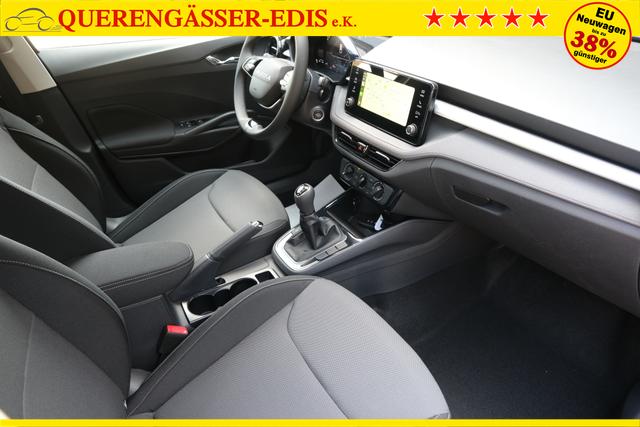 Skoda Fabia Selection Grau 