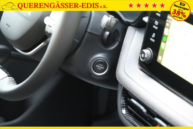 Skoda Fabia Selection Grau 