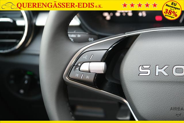 Skoda Fabia Selection Grau 