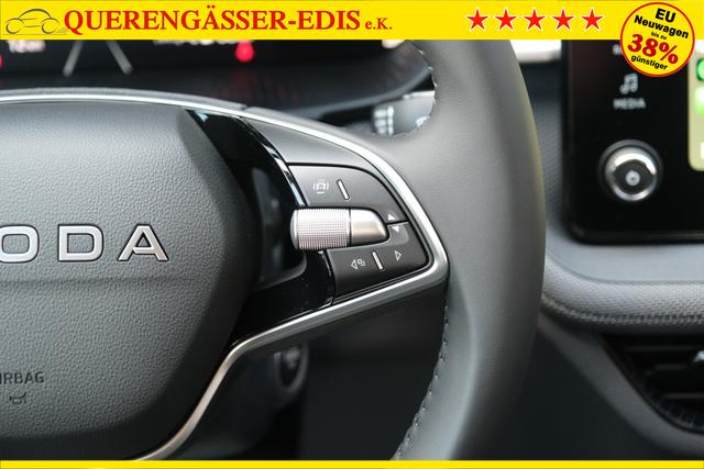 Skoda Fabia Selection Grau 