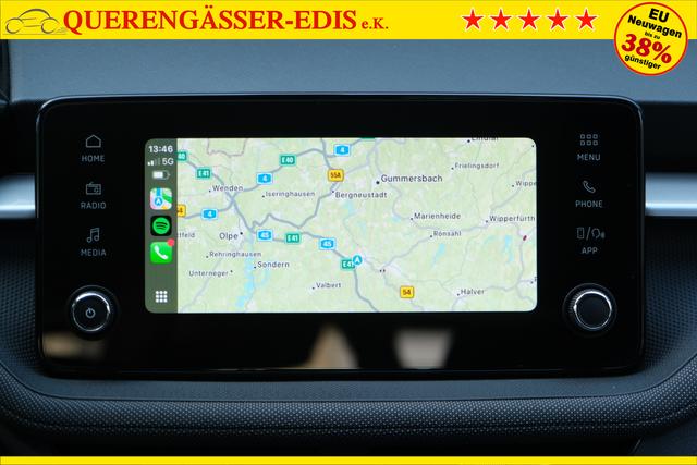 Skoda Fabia Selection Grau 