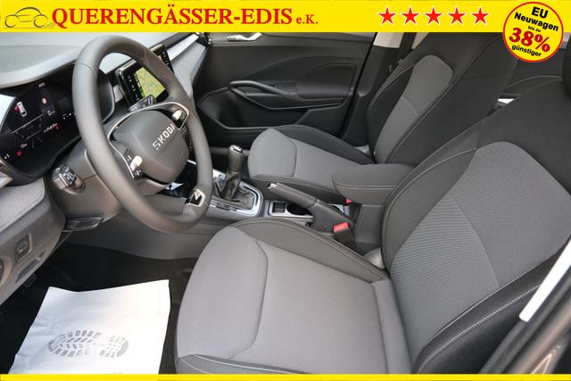 Skoda Fabia Selection Grau 