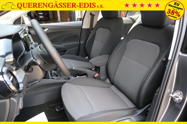 Skoda Fabia Selection Grau 