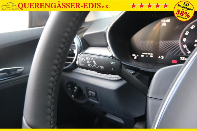 Skoda Fabia Selection Grau 