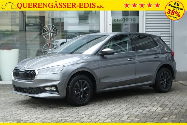 Skoda Fabia Selection Grau 