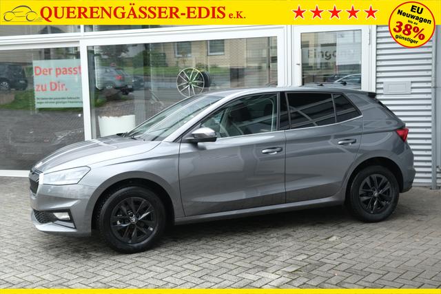 Skoda Fabia Selection Grau 