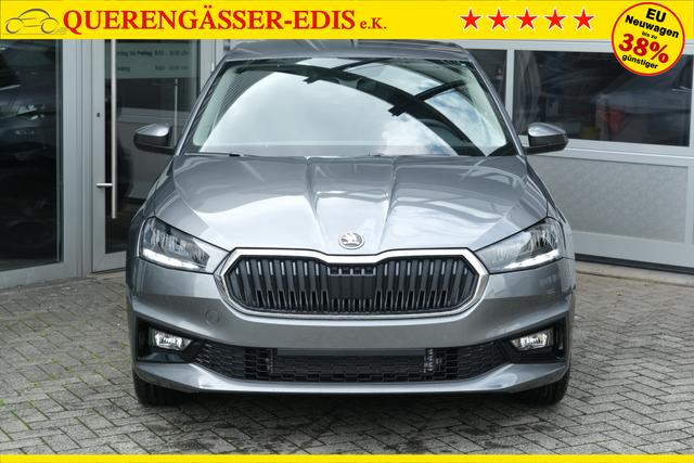 Skoda Fabia Selection Grau 