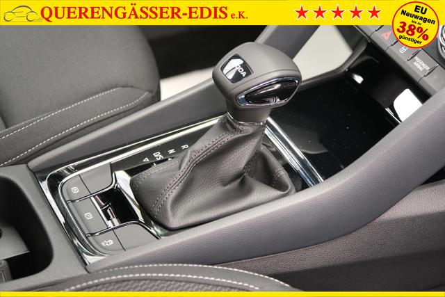 Skoda Karoq TDI DSG Graphite Grau 